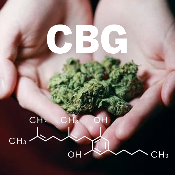 Unveiling CBG: The Hidden Gem of Cannabinoids
